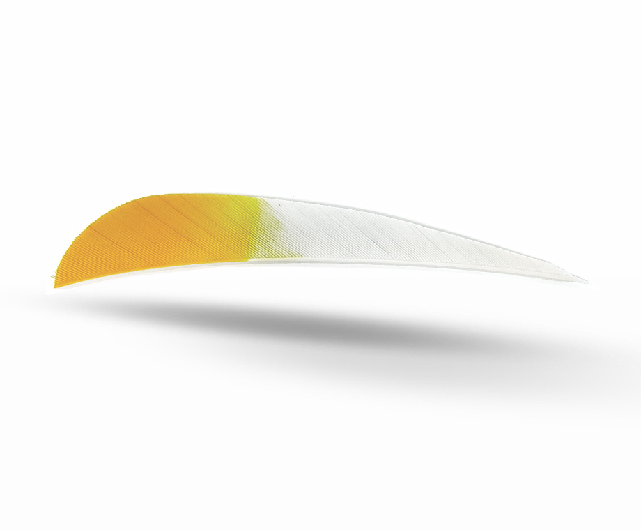 GAS PRO NATURAL FEATHERS 4'' PARABOLIC PACK 50 EAGLE VERSION SILVER/YELLOW